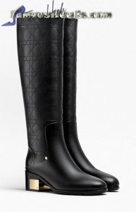 Christian dior boots