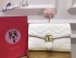 Gucci bag GG66743210