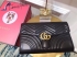 Gucci bag GG66743210