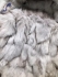 Jacket fur 0566