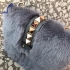 Valentino fur bag 321280