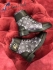 Louis Vuitton Booties LvB4433564458111