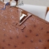 Louis Vuitton capucines 27cm ostrich lvcap224227