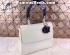 Christian Dior Bedior bag in black and white